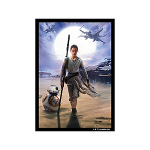 STAR WARS ART SLEEVES REY