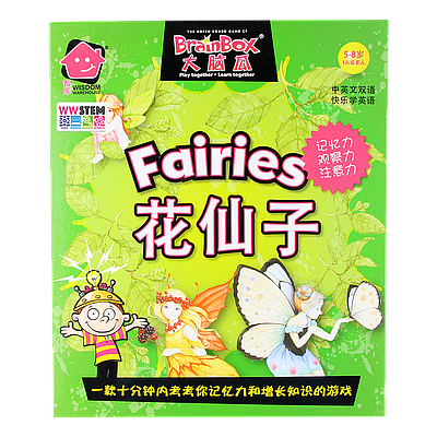 BRAINBOX FAIRIES BOOK BOX